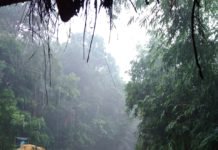 पापिकोंडा नेशनल पार्क- प्रकृति का अप्रतिम सौंदर्य