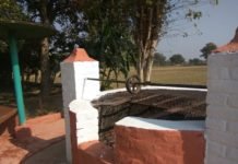 ज़िंदगी जीने की कला