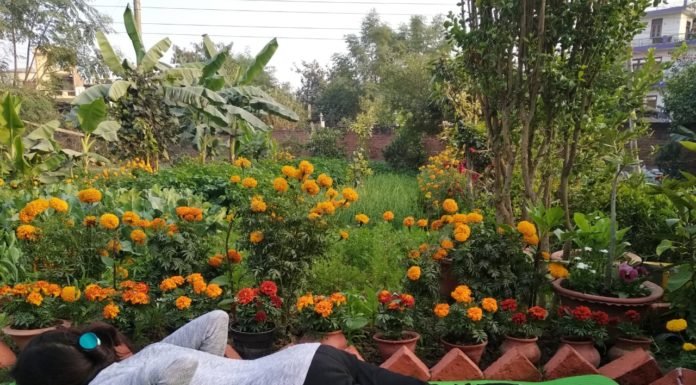 भुजंगासन -विधि ,लाभ एवं सावधानियाँ