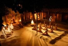 चिल्ला जाड़ा, चिडिय़ाघर दहाड़ा