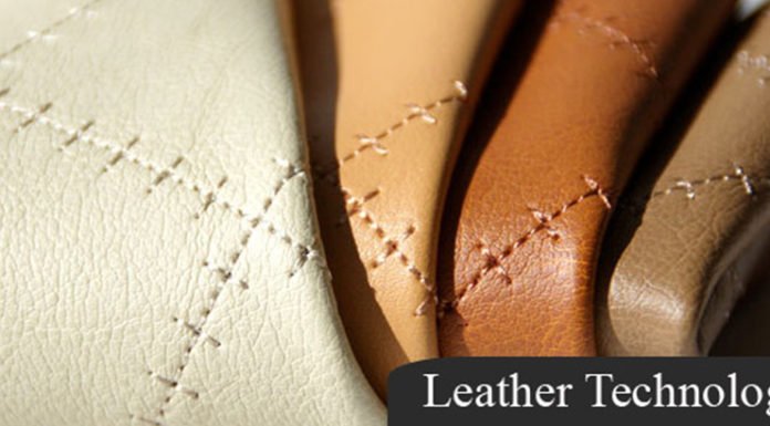 CSIR and CLRI developed module for disseminating new leather technology