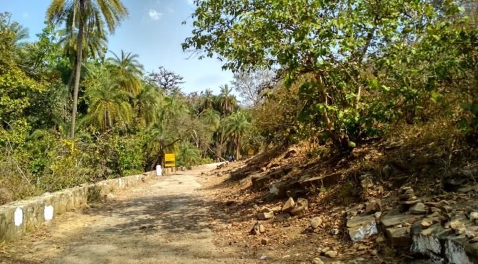 दो किलोमीटर-जंगल की ओर