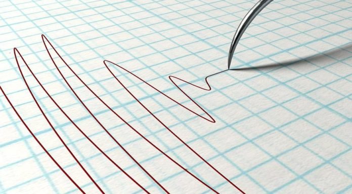 GSP withdrawal would have little impact on exports to USA-FIEO