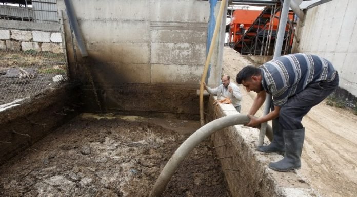 Producing electricity using cow-dung