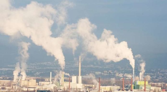 Air Pollution affecting the development of embryo