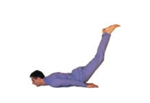 अर्ध-शलभासन