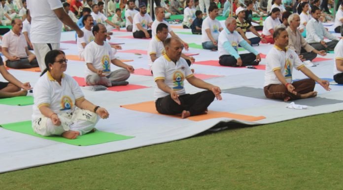 योग दिवस की झलकियाँ