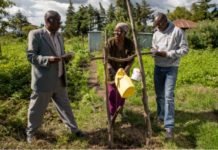 Achieving public health equity – start with sanitation and hygiene for all