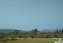 सारिस्का टाइगर रिज़र्व- भारत के सवाना