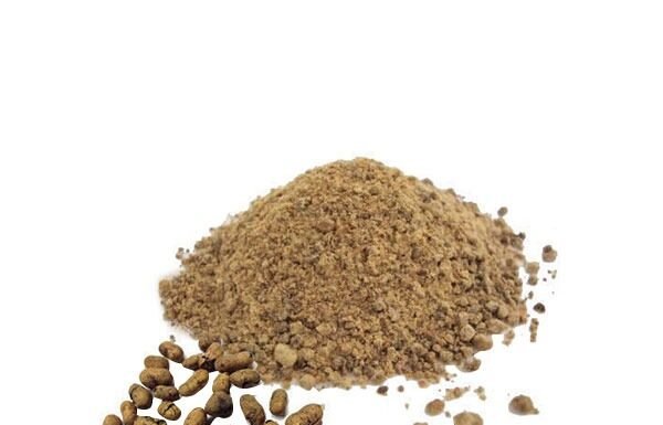 जामुन एवं मेथी बीजों के मोमोज और लड्डू से बढ़ाएं रोग प्रतिरोधक क्षमता