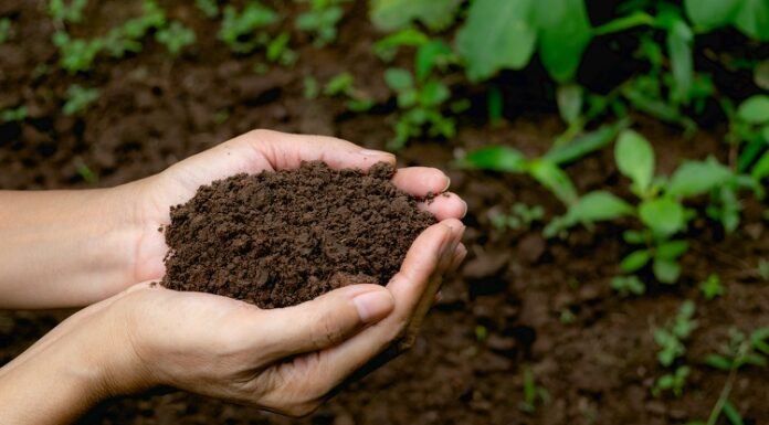 IIT Kanpur launches soil-testing device that can detect soil health in only 90 seconds