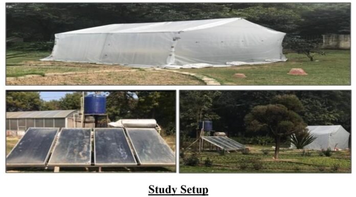 IIT Kanpur develops solar energy-based Root Zone Heating system and Vermi-Bed method for plants in high altitude areas