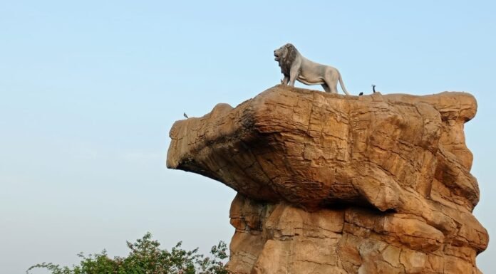 इटावा सफारी -बीहड़ों में गूंजती वनराज की गर्जना