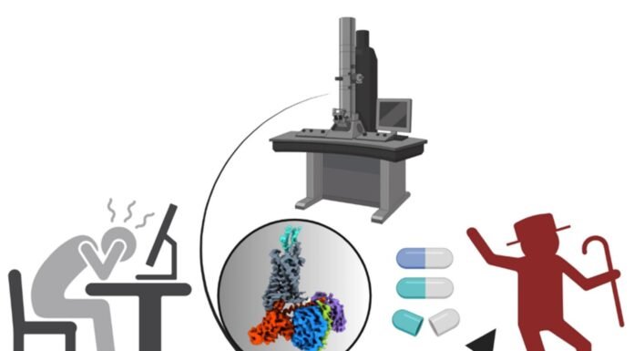IIT Kanpur’s landmark research offers new hope in Cancer and Brain Disorders such as Alzheimer’s and Parkinson’s disease