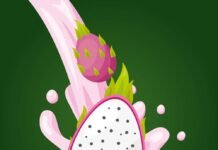 Dragon Fruits’ cultivation in India